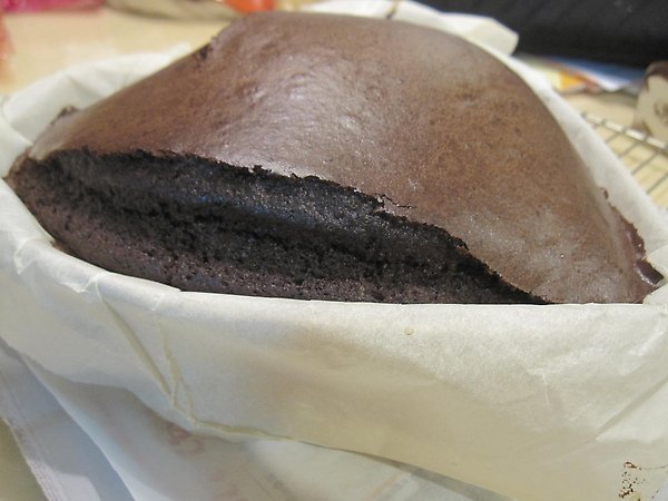 20100323 005.jpg