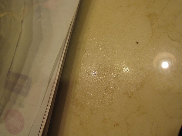20100323 007.jpg