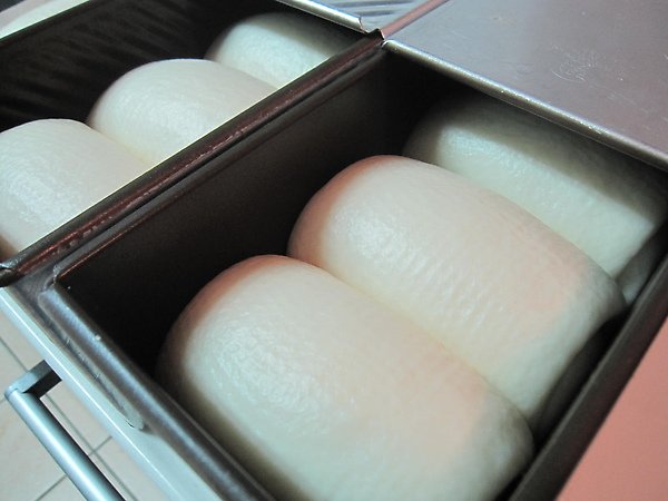 20100323 021.jpg