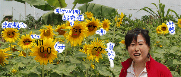 4a092ab7bb71d.gif
