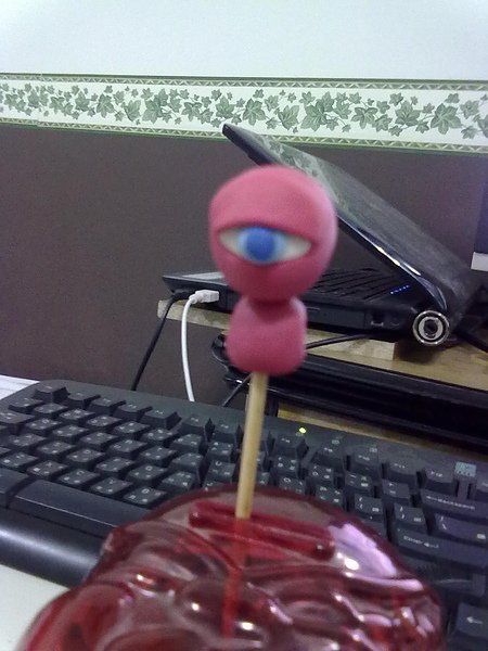 20100818043.jpg