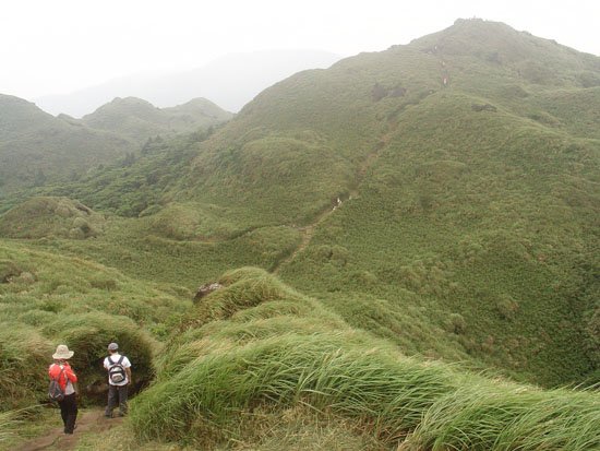 2010/05/22 七星山