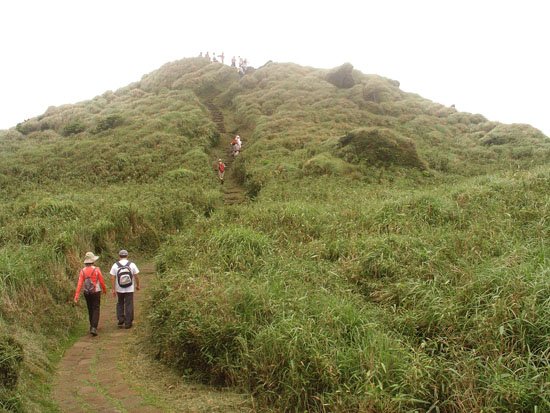 2010/05/22 七星山