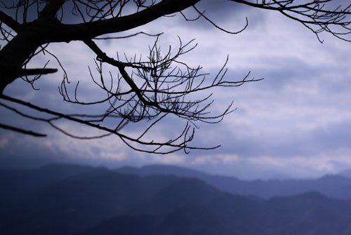 2008/12/06 承天寺、天上山、五城山、文筆山、彩蝶社區、南勢角山