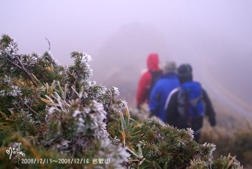 2008/12/13～2008/12/14 合歡山百岳登山行