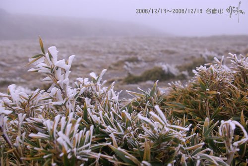 2008/12/13～2008/12/14 合歡山百岳登山行