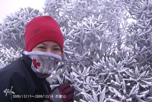 2008/12/13～2008/12/14 合歡山百岳登山行