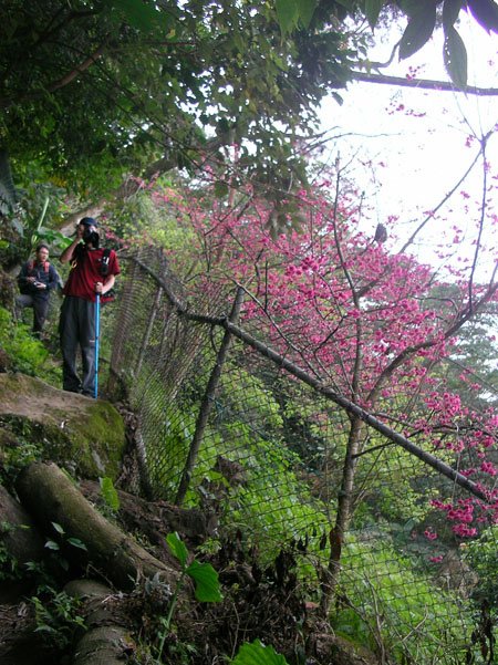 2009/02/14 桃園溪洲山一日遊