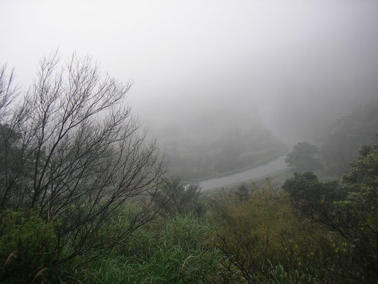 2009/02/15 陽明山賞櫻