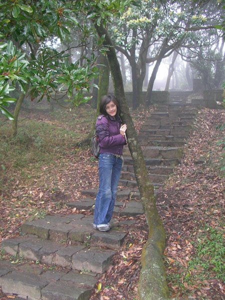 2009/02/15 陽明山賞櫻