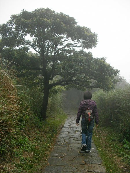 2009/02/15 陽明山賞櫻