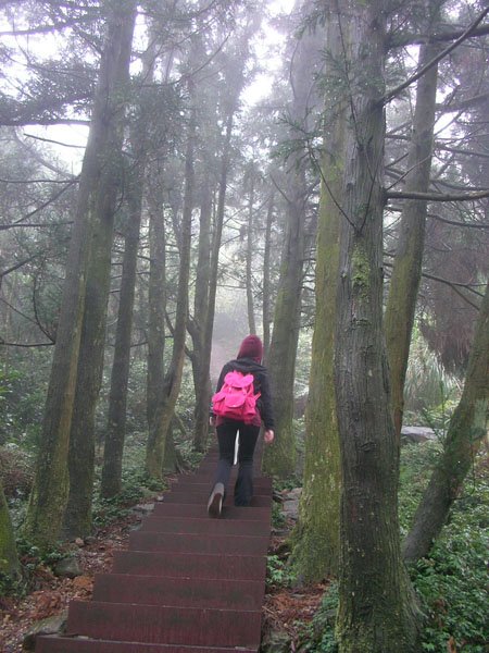 2009/02/15 陽明山賞櫻