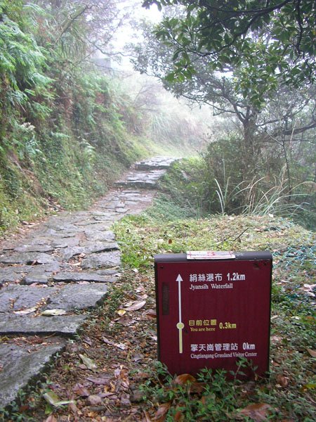 2009/02/15 陽明山賞櫻