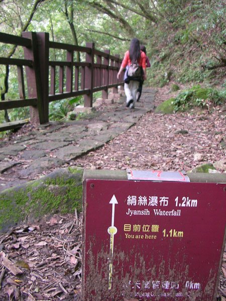 2009/02/15 陽明山賞櫻