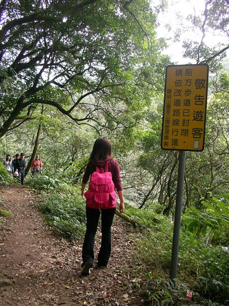 2009/02/15 陽明山賞櫻