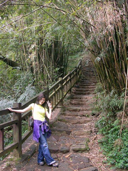 2009/02/15 陽明山賞櫻