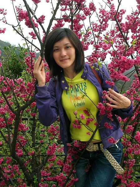 2009/02/15 陽明山賞櫻