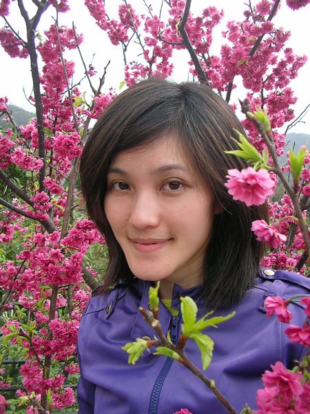 2009/02/15 陽明山賞櫻