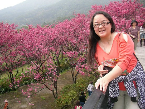 2009/02/15 陽明山賞櫻
