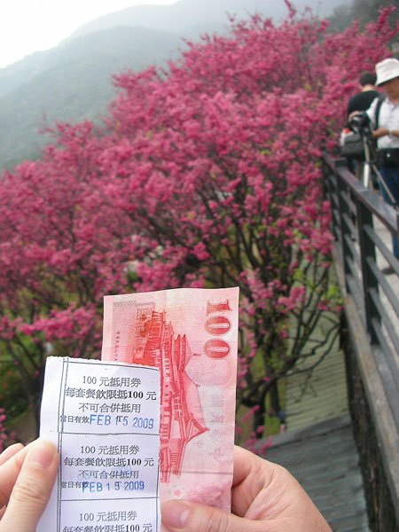 2009/02/15 陽明山賞櫻