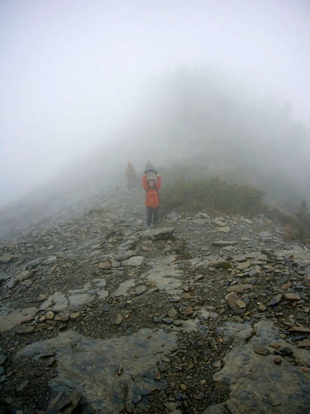 2009/3/29 南橫三星之關山嶺山 