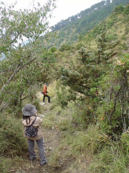 2009/3/28 南橫三星之庫哈諾辛山