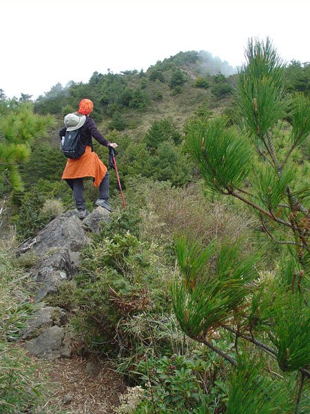 2009/3/28 南橫三星之庫哈諾辛山