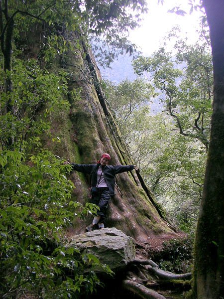 2009/3/28 南橫三星之庫哈諾辛山