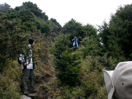 2009/3/28 南橫三星之庫哈諾辛山