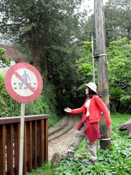 2009/05/01~2009/05/03 阿里山山嵐之旅