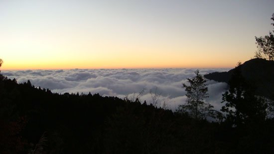 2009/05/01~2009/05/03 阿里山山嵐之旅