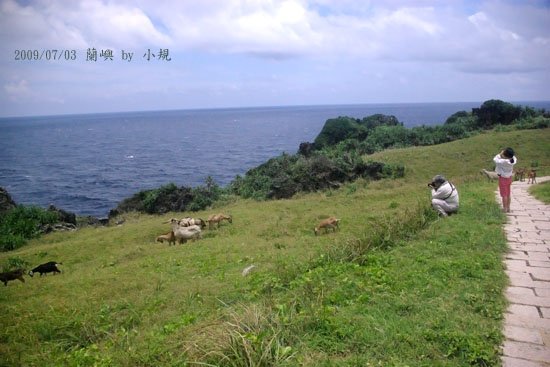 2009/7/2 蘭嶼台東四日遊第二天