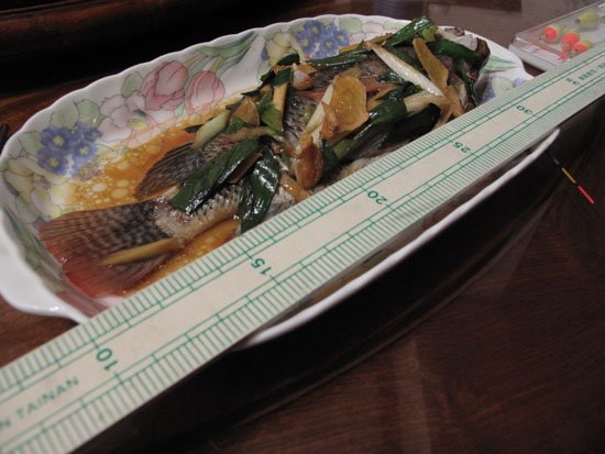 2010/05/08 此生釣到的第一條大魚