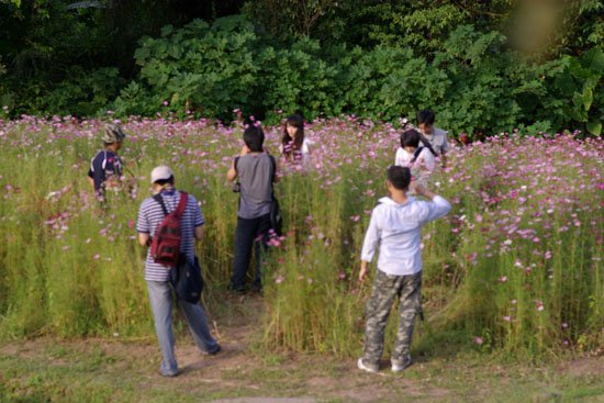 2010/08/22 攝影社農園外拍
