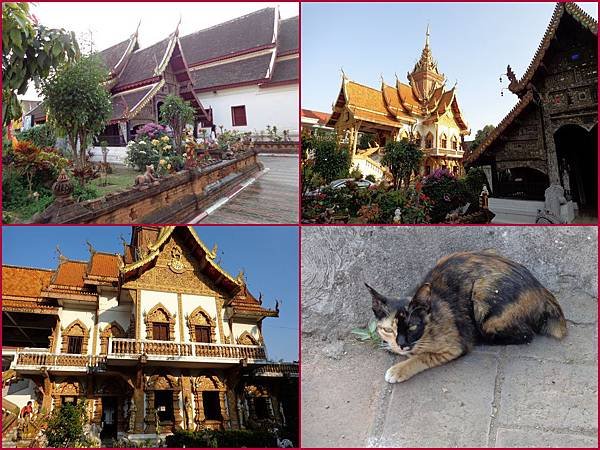 Chiang Mai20