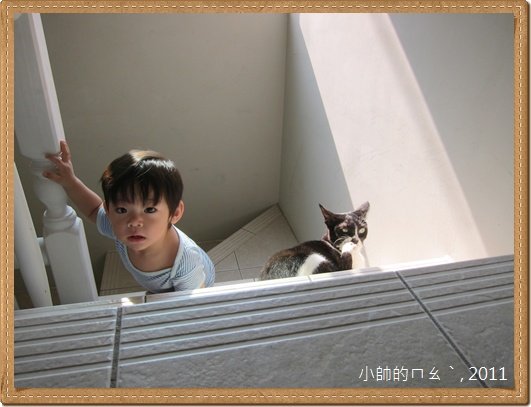 ㄇㄠˋ02.JPG