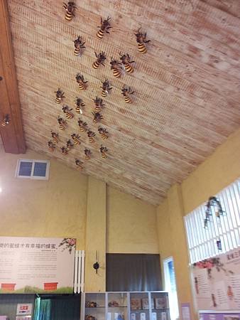 20130913_153750.jpg