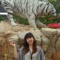 SAM_2250.JPG