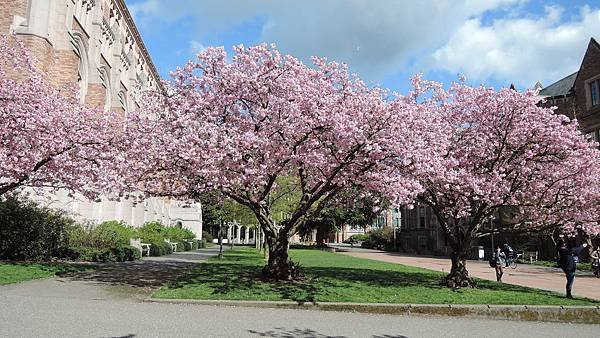 DSCN5411.JPG