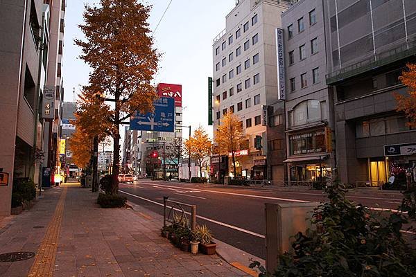 IMG_3632-1_副本