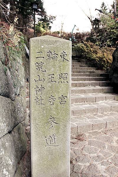 IMG_3739-1_副本