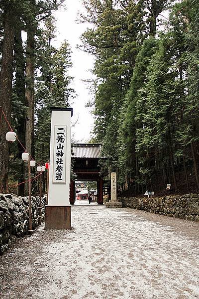 IMG_3881-1_副本