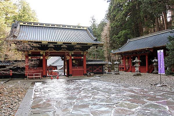 IMG_3986-1_副本