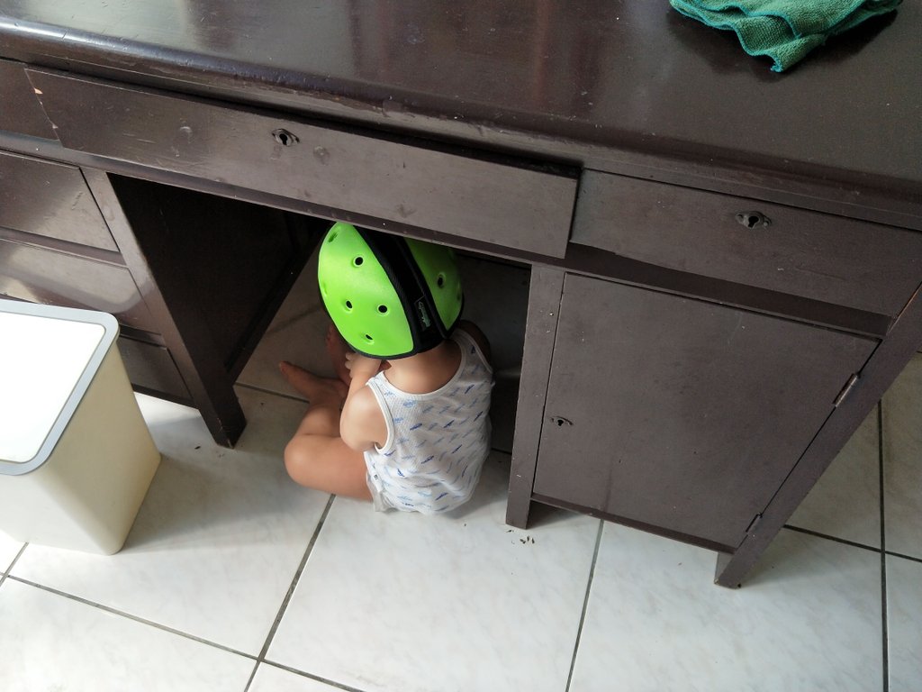 IMG20181118115101.jpg