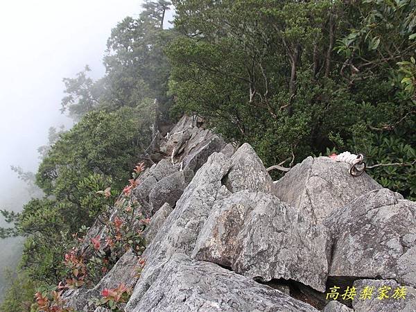 PhotoCap_020.jpg