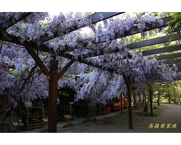 PhotoCap_018.jpg
