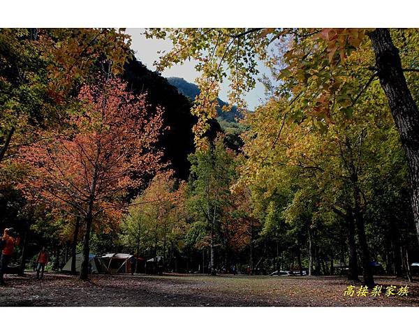 PhotoCap_016.jpg