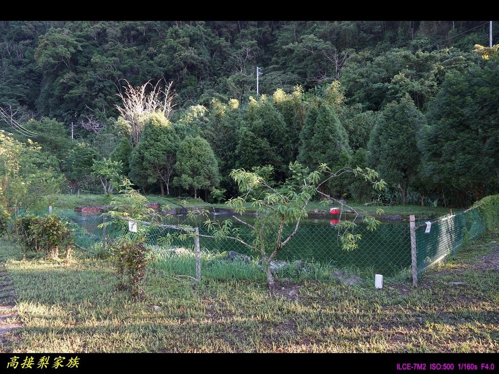 PhotoCap_007.jpg