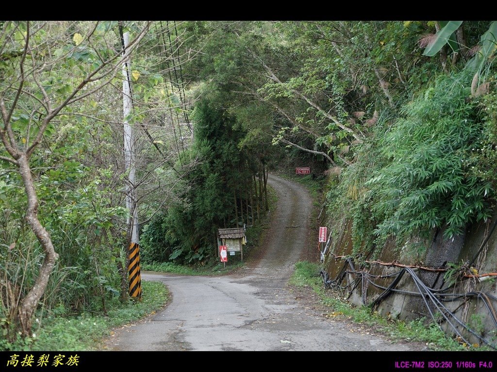 PhotoCap_019.jpg