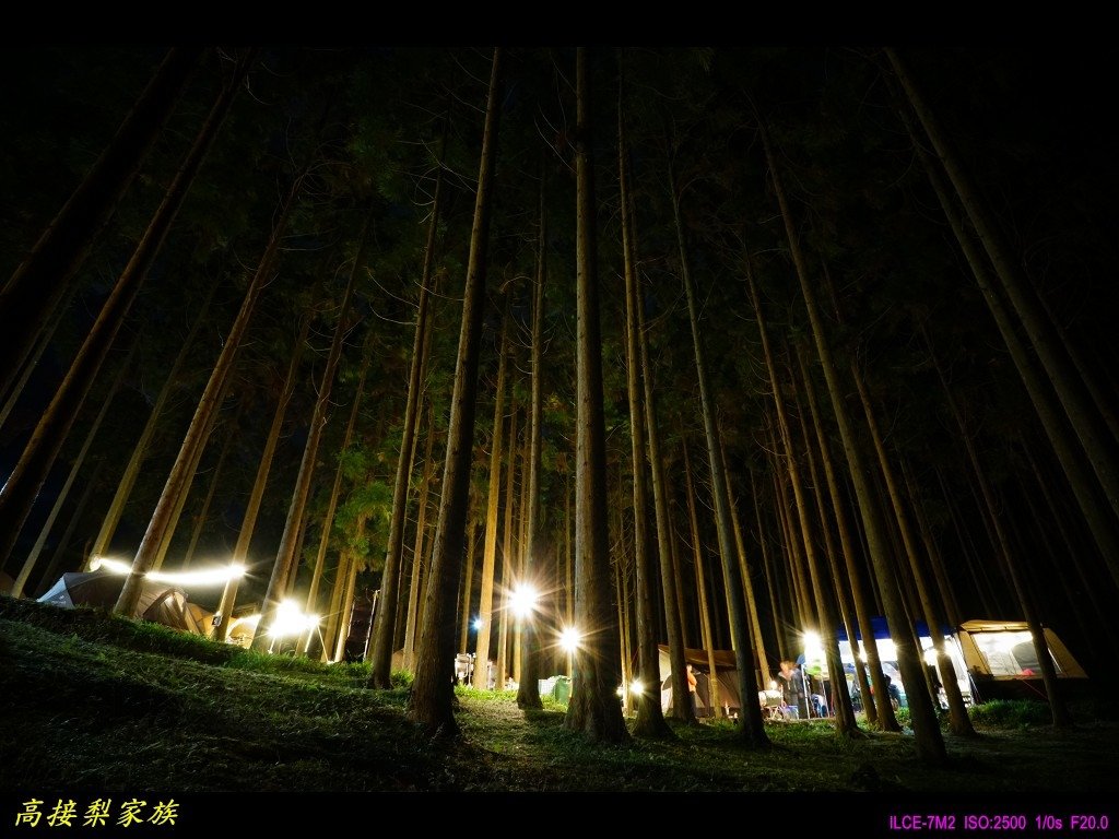PhotoCap_029.jpg